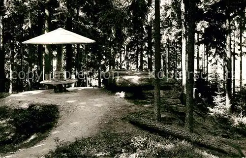 AK / Ansichtskarte Bischofsgruen Waldrastplatz Bischofsgruen