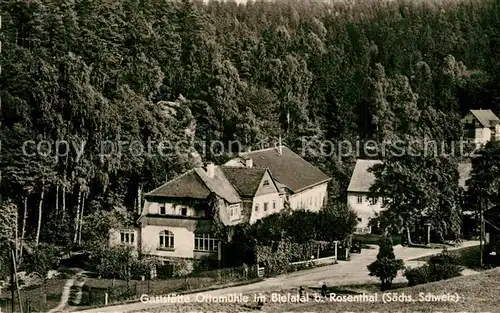 AK / Ansichtskarte Bielatal Gaststaette Ottomuehle Bielatal