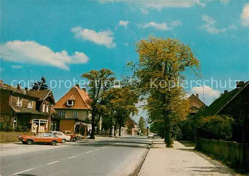 AK / Ansichtskarte Bienenbuettel Lueneburger Heide Bienenbuettel