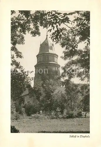 AK / Ansichtskarte Diepholz Schloss Diepholz