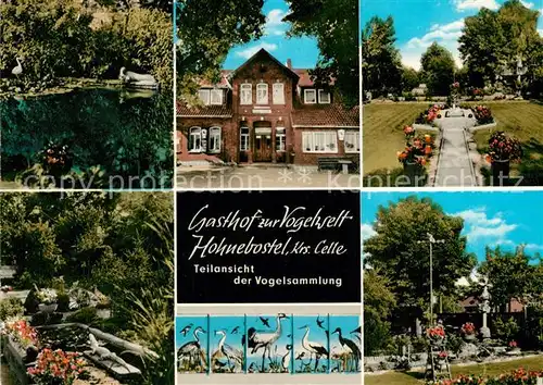 AK / Ansichtskarte Hohnebostel_Celle Gasthof zur Vogelwelt Hohnebostel_Celle