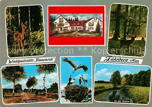 AK / Ansichtskarte Fuhrberg Waldgaststaette Tanneneck Heideweg Storchennest Wietze Fuhrberg