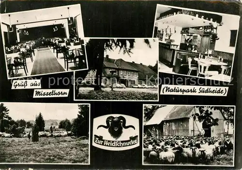 AK / Ansichtskarte Hermannsburg Misselhorn Gast Pensionshaus Zur Heidschnucke Hermannsburg