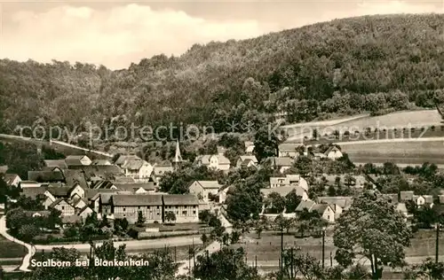 AK / Ansichtskarte Saalborn_Blankenhain Panorama 