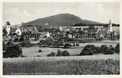 AK / Ansichtskarte Struempfelbrunn Panorama Struempfelbrunn