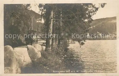 AK / Ansichtskarte Schluchsee Seestrasse mit Villa Hubertus Schluchsee