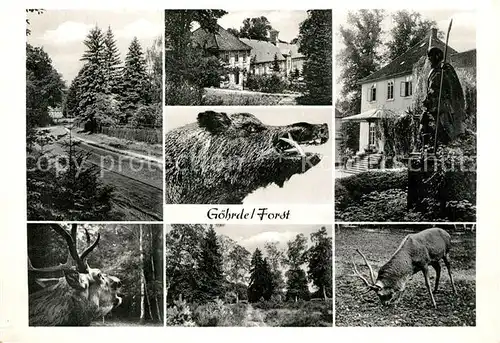 AK / Ansichtskarte Goehrde Teilansichten mit Rot und Schwarzwild Goehrde
