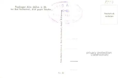 AK / Ansichtskarte Bad_Reichenhall Padinger Alm Blick gegen Staufen Chiemgauer Alpen Bad_Reichenhall