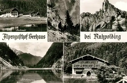 AK / Ansichtskarte Ruhpolding Alpengasthof Seehaus Forchensee Gemsen Hoerndlwand Chiemgauer Alpen Ruhpolding