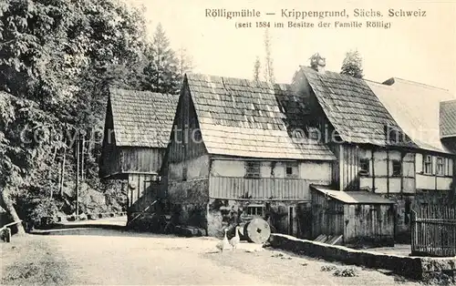AK / Ansichtskarte Bad_Schandau Roelligmuehle im Krippengrund Bad_Schandau
