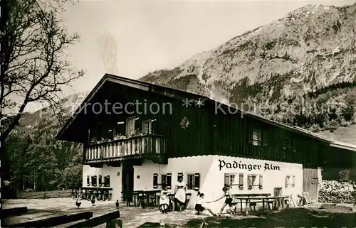 AK / Ansichtskarte Bad_Reichenhall Padinger Alm gegen Staufen Chiemgauer Alpen Bad_Reichenhall
