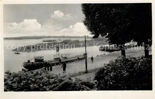 AK / Ansichtskarte Wittenberge_Prignitz Elbpartie Frachtkahn Wittenberge Prignitz