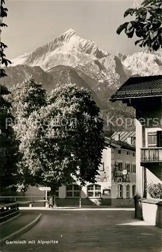 AK / Ansichtskarte Garmisch Partenkirchen Ortsmotiv Kastanienbaum mit Alpspitze Wettersteingebirge Garmisch Partenkirchen