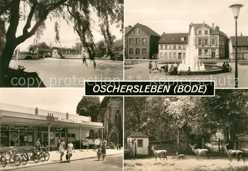 AK / Ansichtskarte Oschersleben_Bode Bodewehr Springbrunnen Lindenstrasse Kaufhalle Wildgehege Oschersleben_Bode