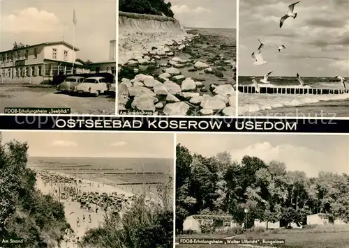 AK / Ansichtskarte Koserow_Ostseebad_Usedom FDGB Erholungsheime Strand Streckelberg Moewen Koserow_Ostseebad_Usedom
