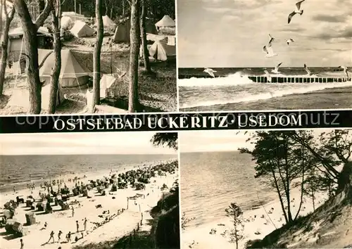 AK / Ansichtskarte ueckeritz_Usedom Campingplatz Strand Steilkueste Moewen ueckeritz Usedom