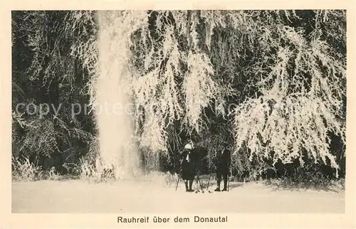 AK / Ansichtskarte Donautal B?ume mit Rauhreif Langlauf Donautal