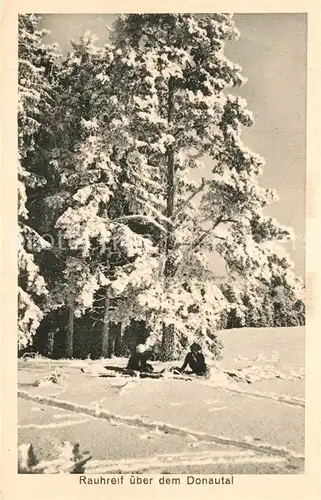 AK / Ansichtskarte Donautal Rauhreif Donautal