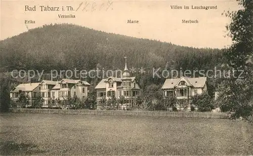 AK / Ansichtskarte Bad_Tabarz Villen im Lauchagrund 