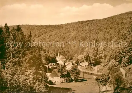 AK / Ansichtskarte Seiffen_Erzgebirge Seiffner Grund Seiffen Erzgebirge