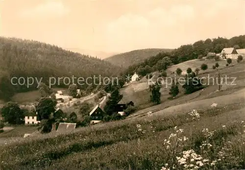 AK / Ansichtskarte Seiffen_Erzgebirge Seiffner Grund Seiffen Erzgebirge