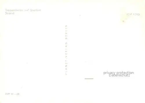 AK / Ansichtskarte Trassenheide_Usedom Strand Trassenheide Usedom