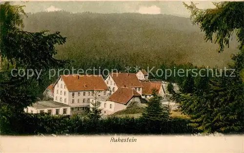 AK / Ansichtskarte Ruhestein Panorama Ruhestein