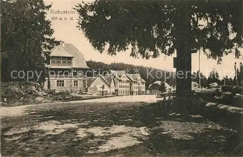 AK / Ansichtskarte Ruhestein Panorama Ruhestein