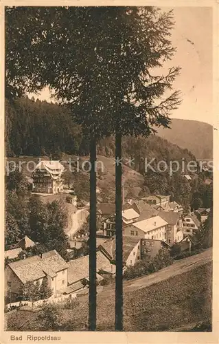 AK / Ansichtskarte Bad_Rippoldsau_Schwarzwald Panorama Bad_Rippoldsau