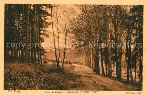 AK / Ansichtskarte Lacour d_Arcenay Bois de Lacour Chemin de Chaumette Lacour d Arcenay
