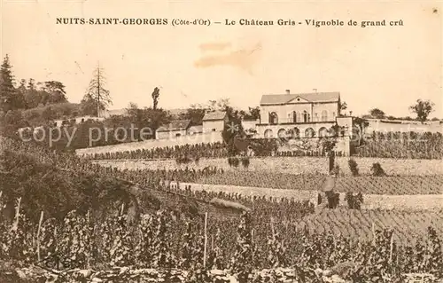 AK / Ansichtskarte Nuits Saint Georges Le Chateau Gris Vignoble de grand cru Nuits Saint Georges