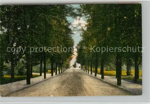 AK / Ansichtskarte Bad_Segeberg Auffahrt zum Kurhaus Bad_Segeberg