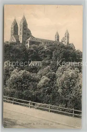 AK / Ansichtskarte Speyer_Rhein Dom Speyer Rhein