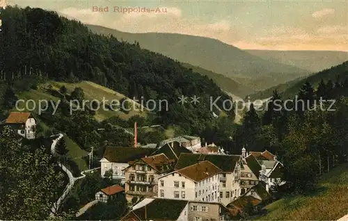 AK / Ansichtskarte Bad_Rippoldsau_Schwarzwald Panorama Bad_Rippoldsau
