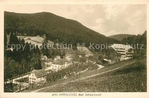 AK / Ansichtskarte Bad_Rippoldsau_Schwarzwald Panorama  Bad_Rippoldsau