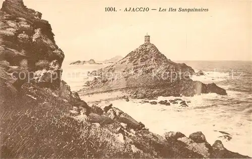AK / Ansichtskarte Ajaccio Les Iles Sanguinaires Ajaccio