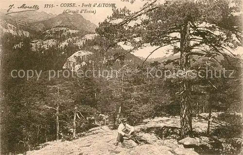 AK / Ansichtskarte Corse_Ile_de Foret dAitone Circuit d Evisa Corse_Ile_de