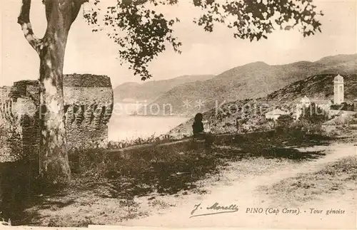 AK / Ansichtskarte Pino Tour genoise Pino