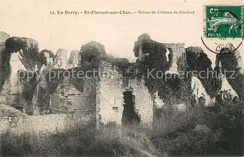 Saint Florent sur Cher Ruines du Chateau du Coudray Saint Florent sur Cher
