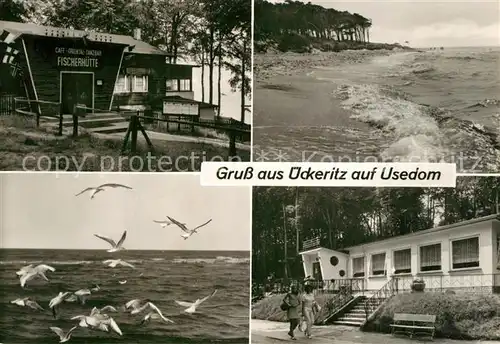 ueckeritz_Usedom Fischerhuette Strand Moewen Strandklause ueckeritz Usedom