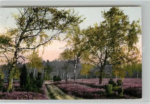 Haverbeck_Bispingen Morgenstimmung Lueneburger Heide 