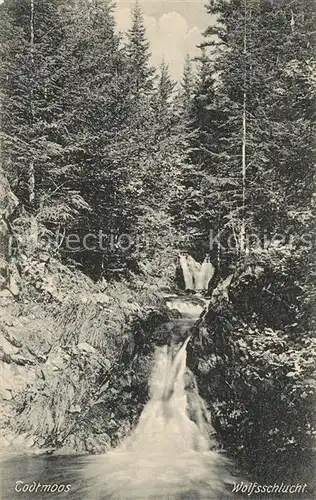 Todtmoos Wolfsschlucht Todtmoos