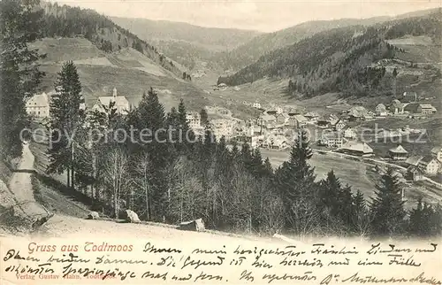 Todtmoos Panorama Todtmoos