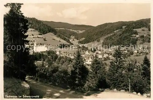 Todtmoos Panorama Todtmoos