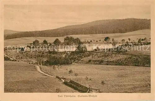 AK / Ansichtskarte Bad_Duerrheim Salinen Weiher Bad_Duerrheim