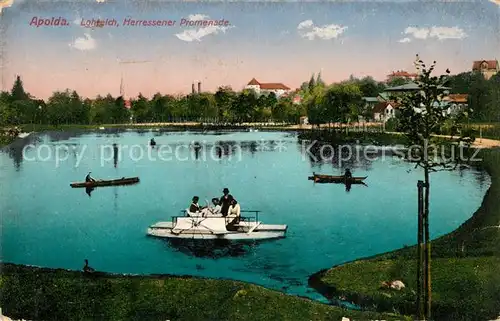 AK / Ansichtskarte Apolda Lohteich Herressener Promenade Apolda