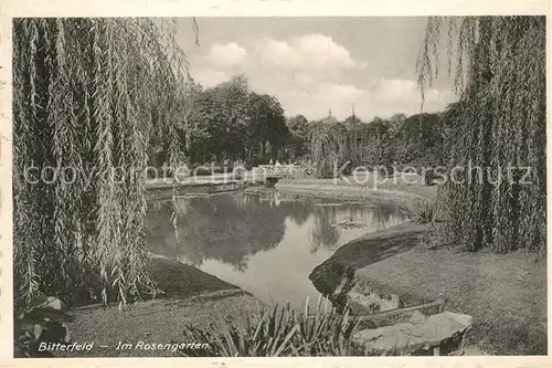 AK / Ansichtskarte Bitterfeld Rosengarten Bitterfeld