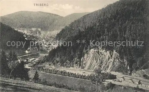 AK / Ansichtskarte Triberg_Schwarzwald  Triberg Schwarzwald