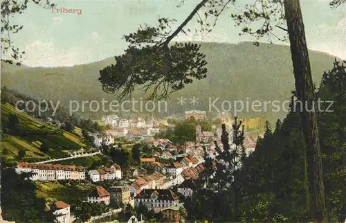 AK / Ansichtskarte Triberg_Schwarzwald  Triberg Schwarzwald