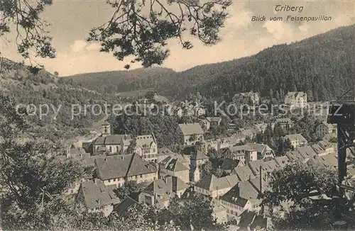 AK / Ansichtskarte Triberg_Schwarzwald  Triberg Schwarzwald